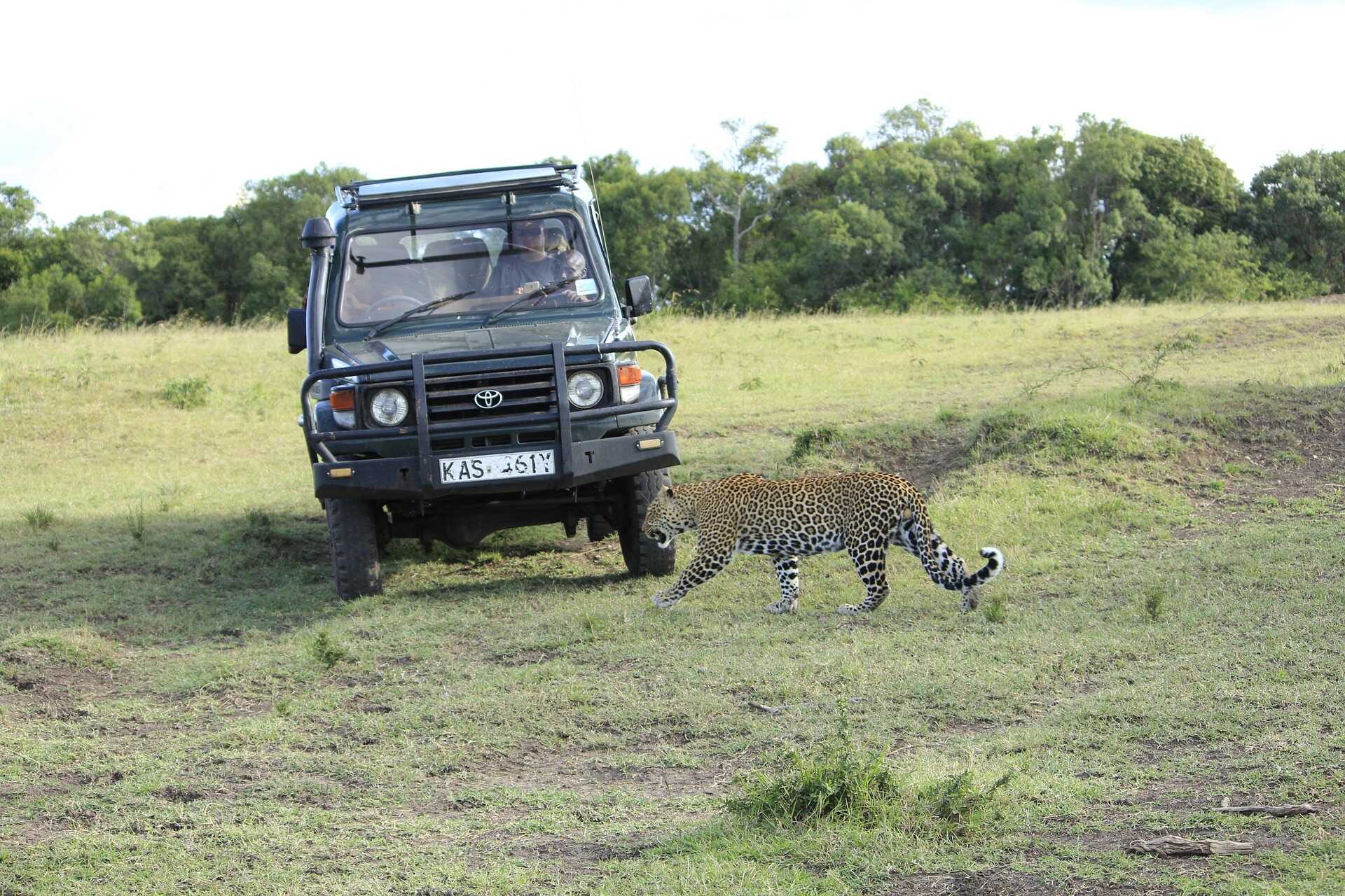 Masai Mara Game Reserve