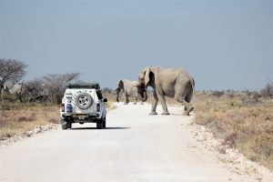 Safari Namibië Nationale Parken