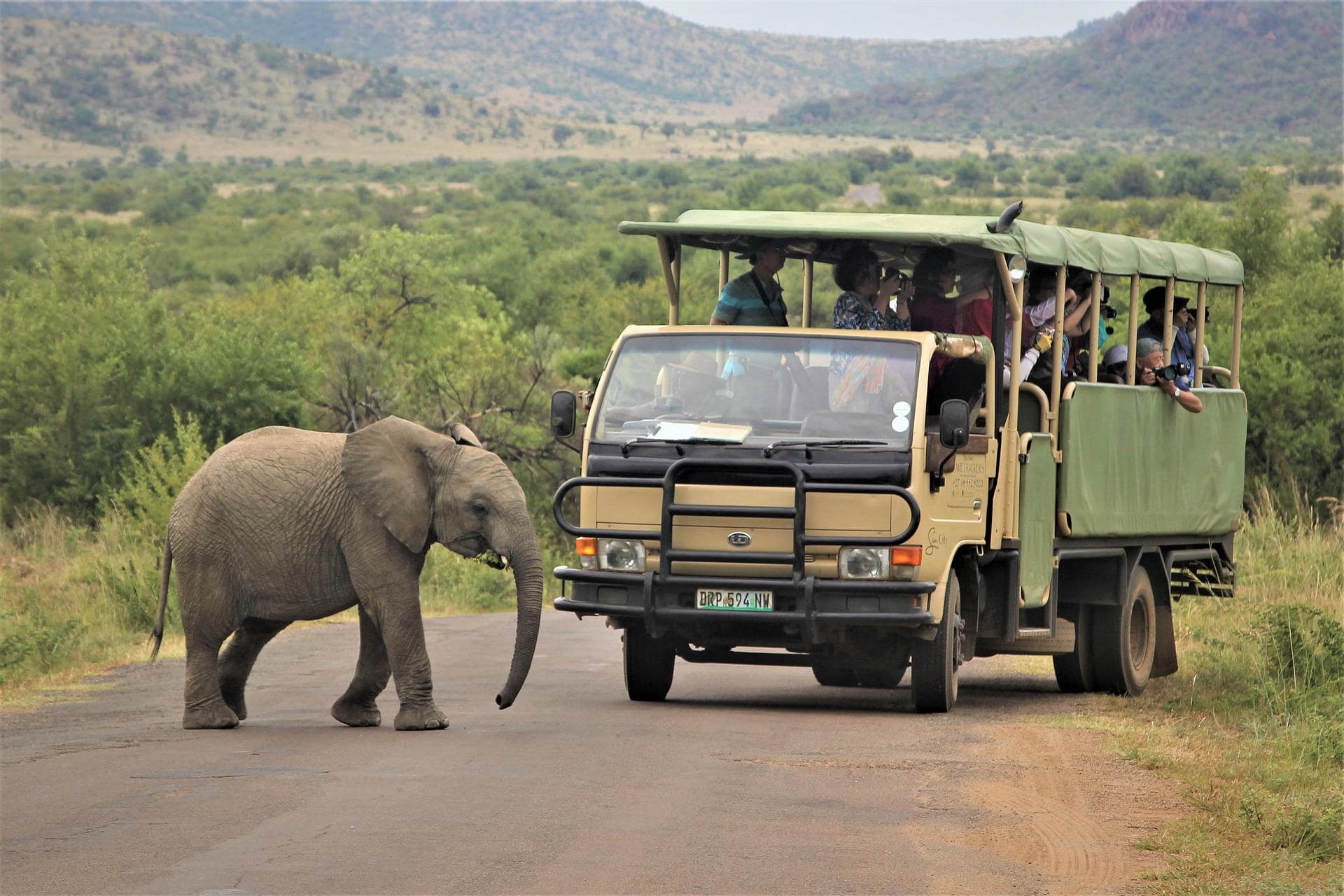 Pilanesberg olifanten