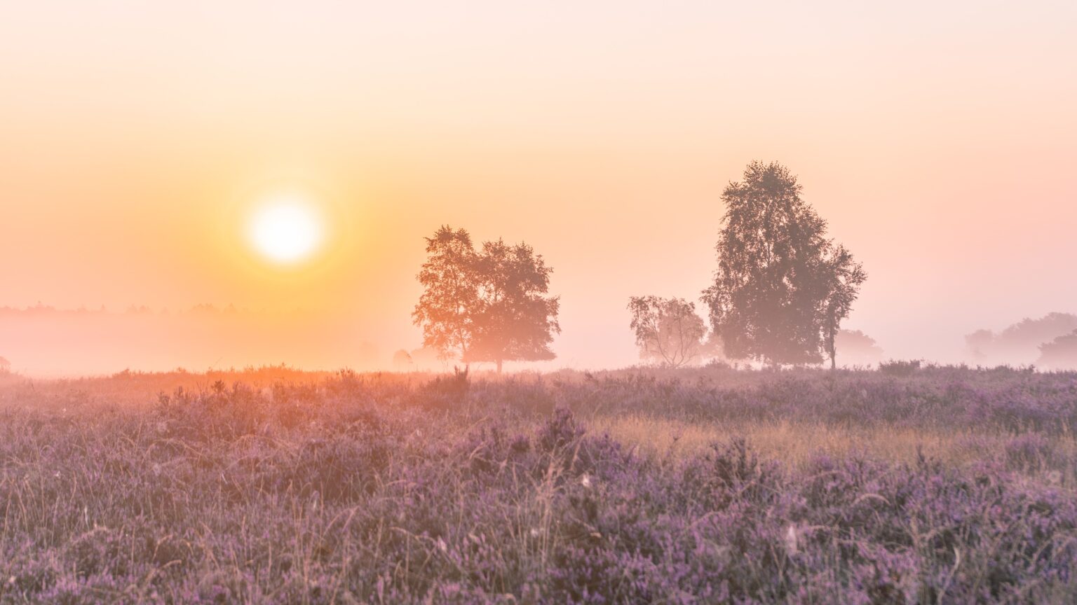 hotel met binnenzwembad buitenzwembad Veluwe