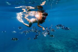 Duiken en snorkelen Curacao