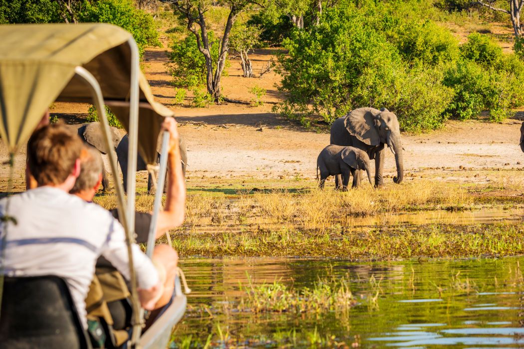 Botswana landschap