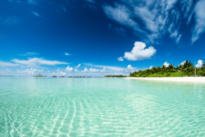 Vakantiedagen in 2026