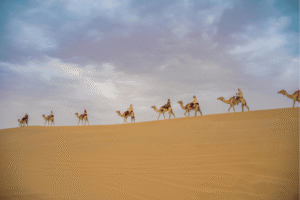 Vakantie en dieren