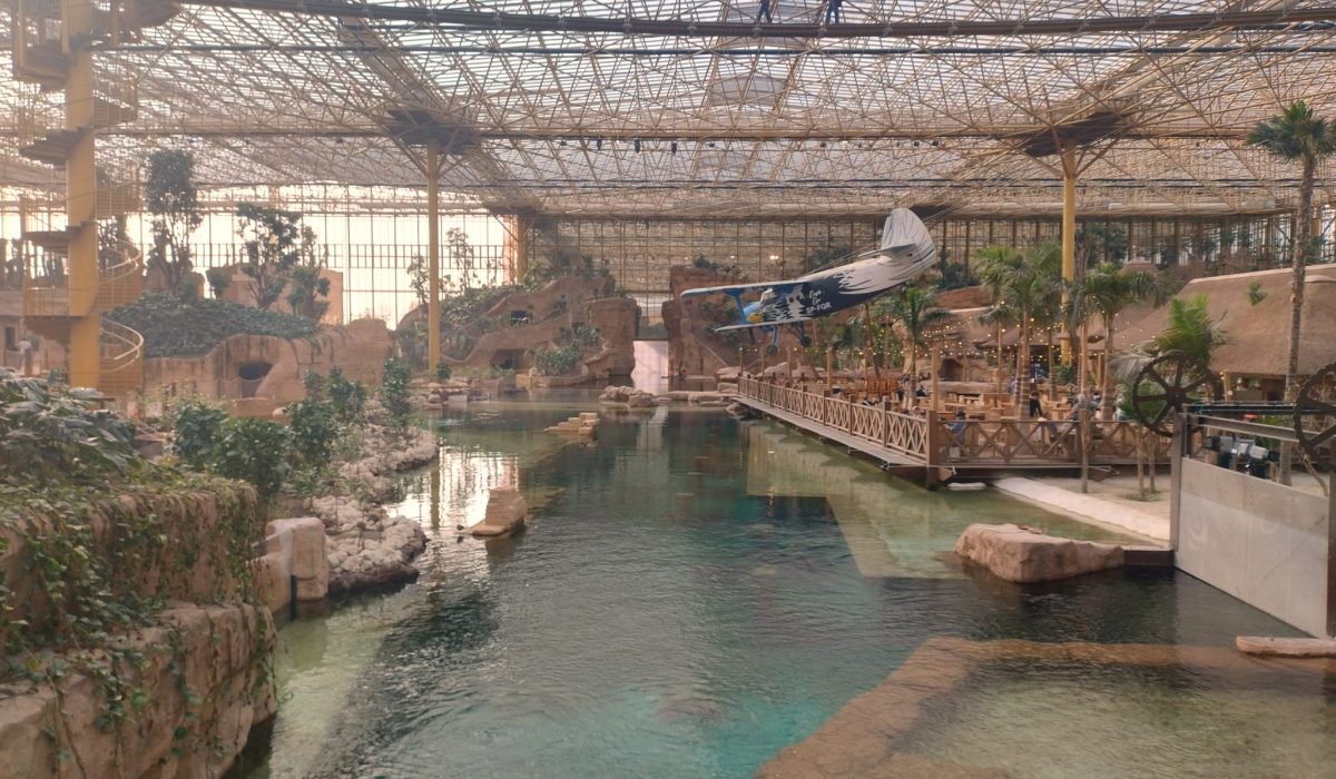 Edenya (Pairi Daiza) bezoeken? Ontdek mijn tips en ervaringen! | De ...