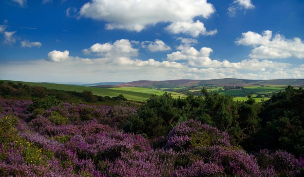Exmoor National Park Exmoor National Park