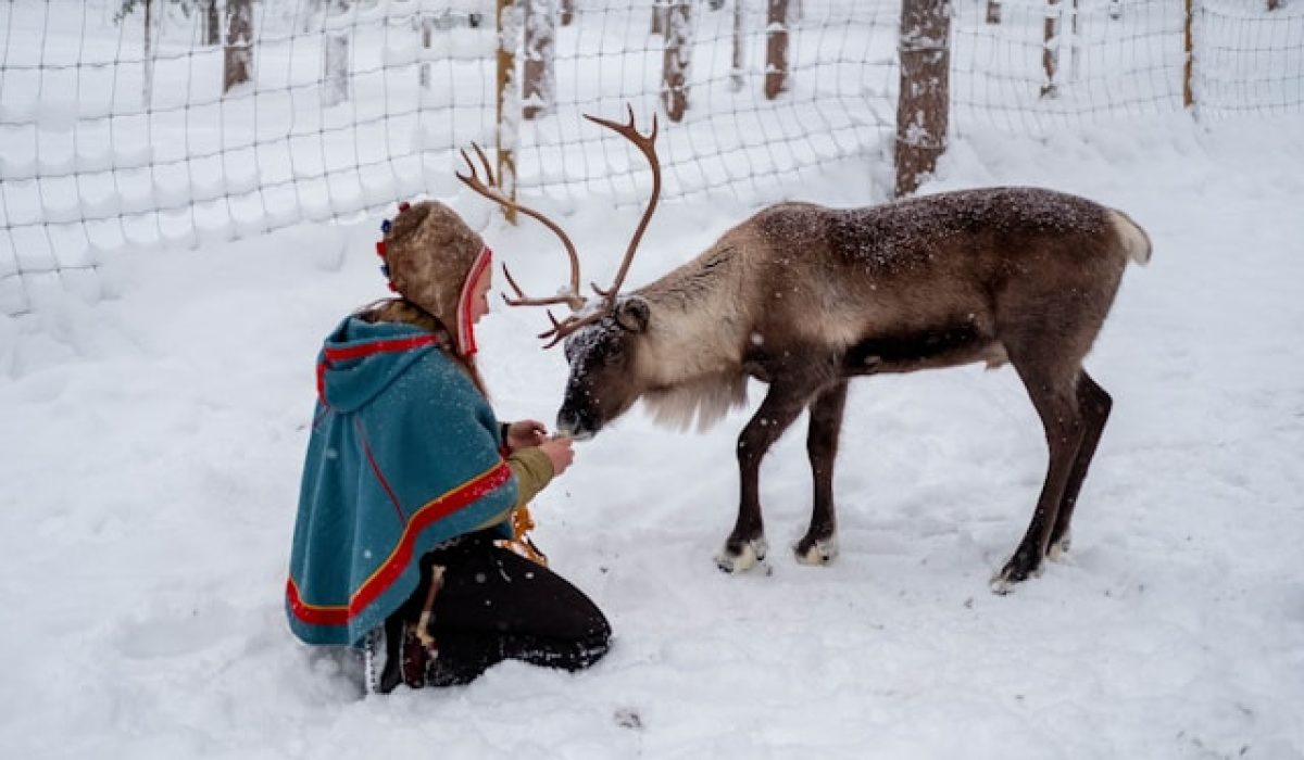 Fins Lapland Sami