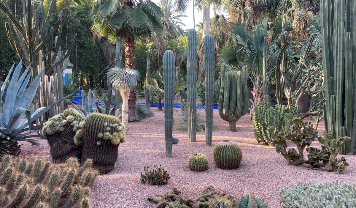 Majorelle garden