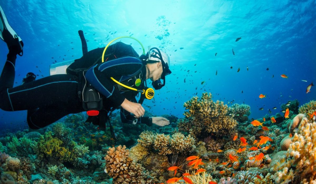 Pulau Payar Marine Park