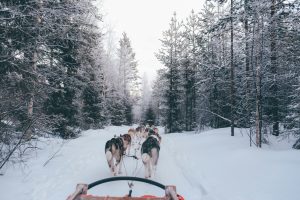 Vakantie of rondreis Finland