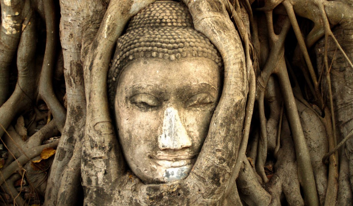 Ayutthaya Wat Phra Mahatat
