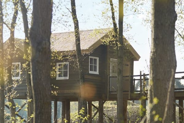boomhut overnachting brabant boomhut overnachting brabant