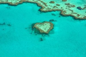 Great Barrier Reef hart