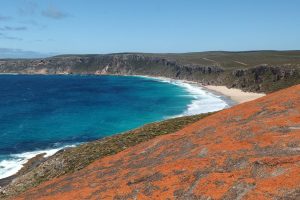 Kangaroo Island strand