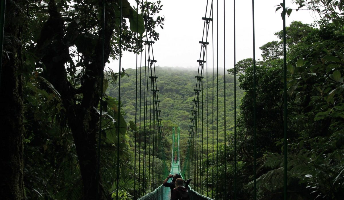 Monteverde hangbrug Monteverde hangbrug