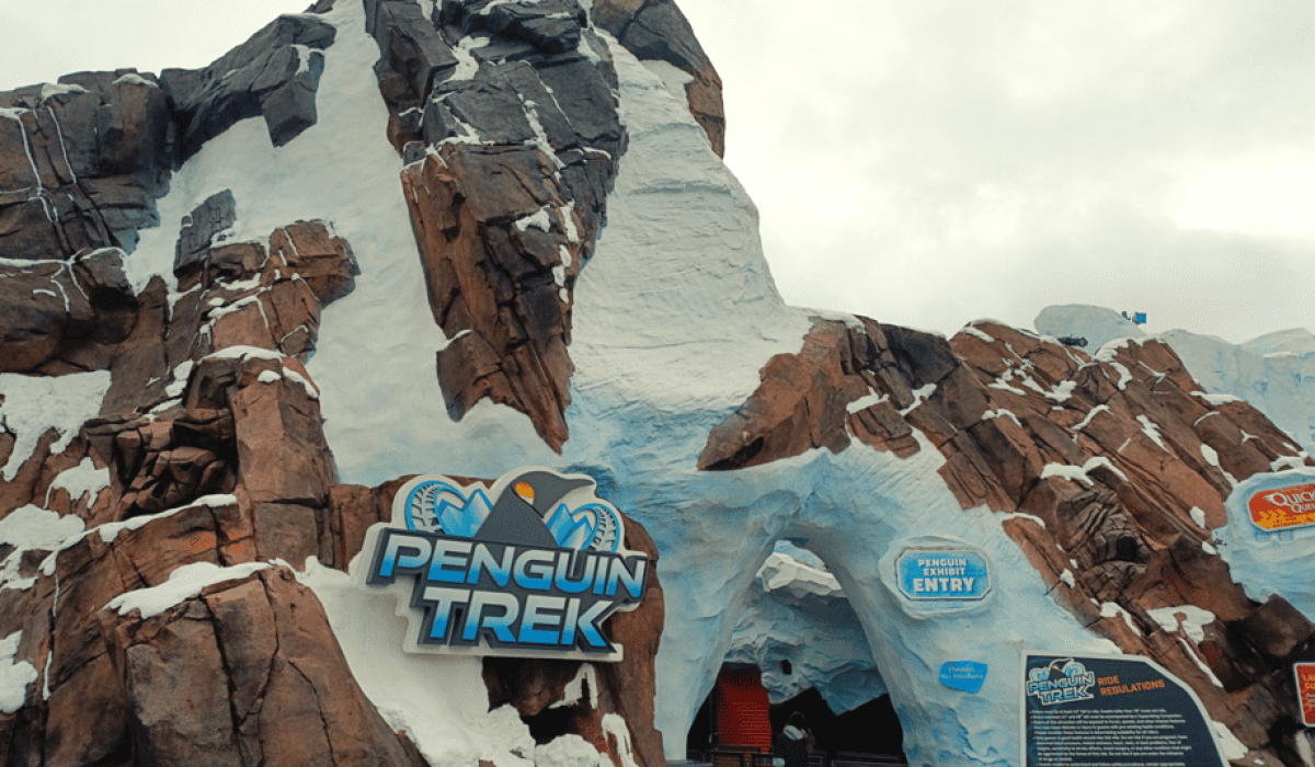 penguin trek