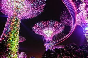Singapore Gardens by the Bay supertree