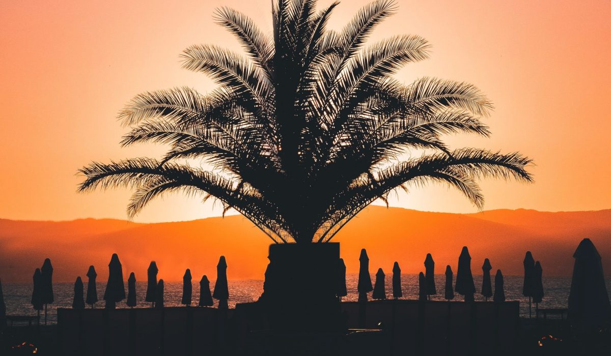 Sunny Beach Sunny Beach