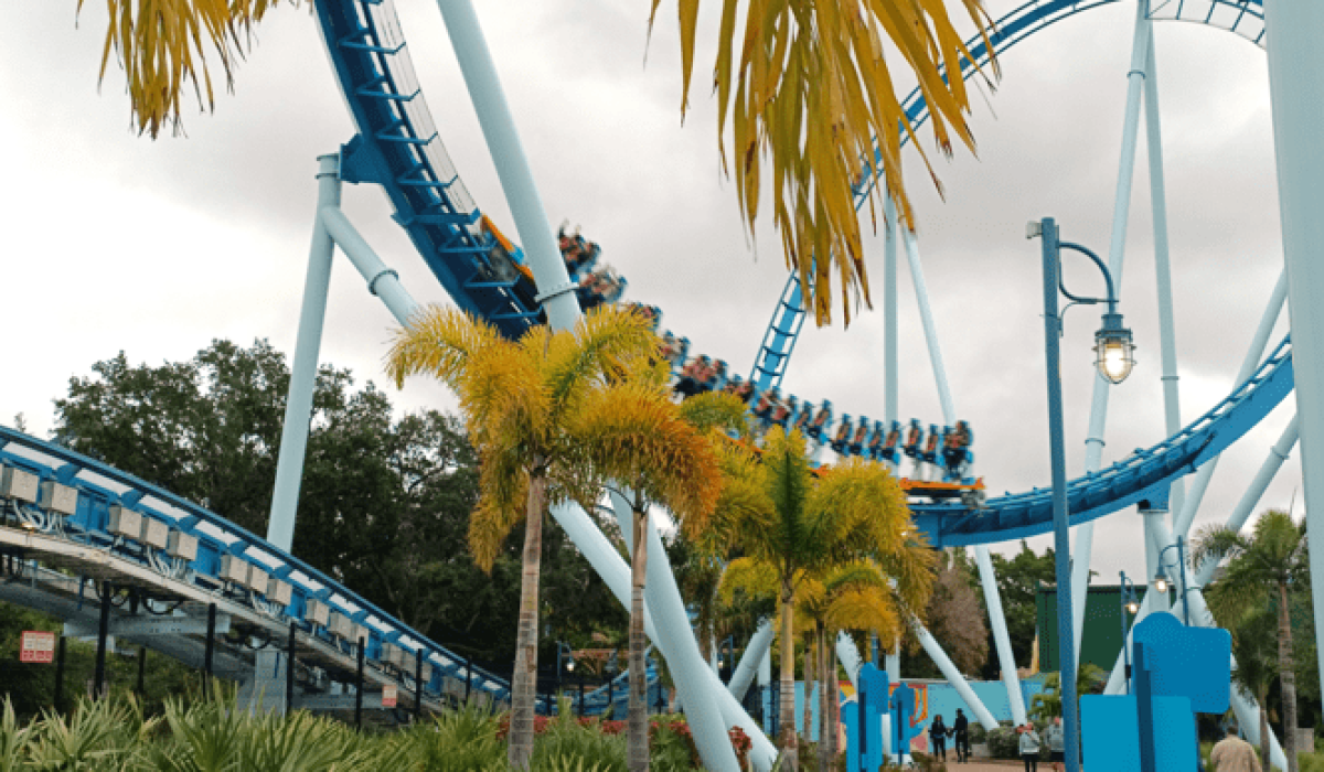 the surf coaster